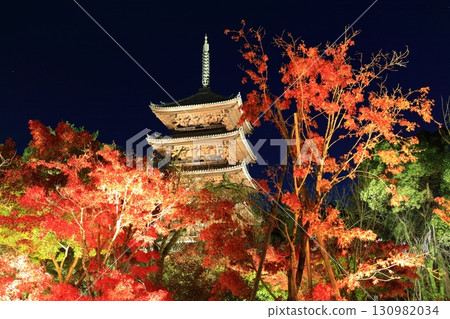 [Kyoto Prefecture] Ninnaji Temple Autumn Leaves Illumination (Five-story Pagoda) 130982034