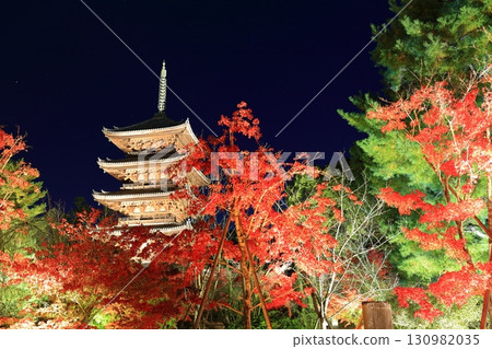 [京都府]仁和寺秋葉燈飾（五層寶塔） 130982035