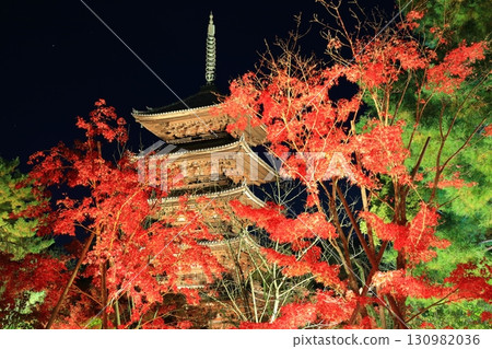 [Kyoto Prefecture] Ninnaji Temple Autumn Leaves Illumination (Five-story Pagoda) 130982036