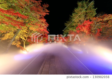 【京都府】仁和寺秋葉雲海點燈(近藤) 【京都府】仁和寺秋葉雲海點燈(近藤) 130982038