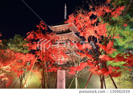 [Kyoto Prefecture] Ninnaji Temple Autumn Leaves Illumination (Five-story Pagoda) 130982039