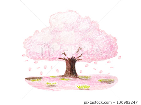 櫻桃樹 櫻桃樹 130982247