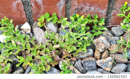 Background of stone material Background of stone material 130982383