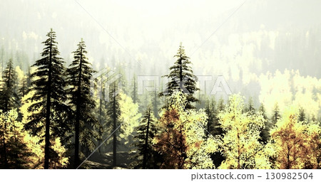 A vibrant forest filled with tall evergreen and deciduous trees shows colorful autumn foliage. Sunlight gently breaks through the branches, illuminating the serene atmosphere. A vibrant forest filled with tall evergreen and deciduous trees shows colorful autumn foliage. Sunlight gently breaks through the branches, illuminating the serene atmosphere. 130982504