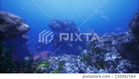 Colorful corals and various fish thrive in a vibrant underwater ecosystem. This beautiful ocean scene captures the serenity and richness of marine biodiversity in clear blue waters. 130982564