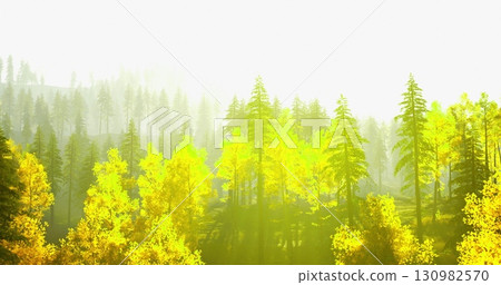 Golden leaves dominate the landscape as sunlight streams through a dense forest. The warm hues create a serene atmosphere, highlighting the beauty of nature in autumn. Golden leaves dominate the landscape as sunlight streams through a dense forest. The warm hues create a serene atmosphere, highlighting the beauty of nature in autumn. 130982570