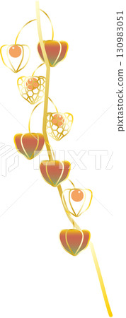 保月的插圖 130983051