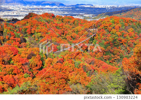 [Osaka Prefecture] Hoshida Park, Osaka Prefectural Forest: Star Swing and Autumn Leaves 130983224