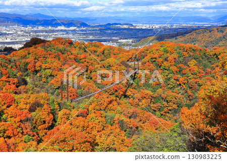 [Osaka Prefecture] Hoshida Park, Osaka Prefectural Forest: Star Swing and Autumn Leaves 130983225