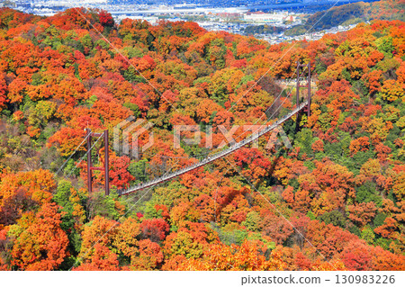 [Osaka Prefecture] Hoshida Park, Osaka Prefectural Forest: Star Swing and Autumn Leaves 130983226