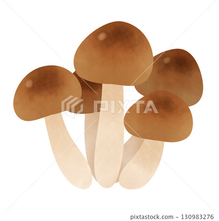 Bunshimeji mushroom illustration 130983276
