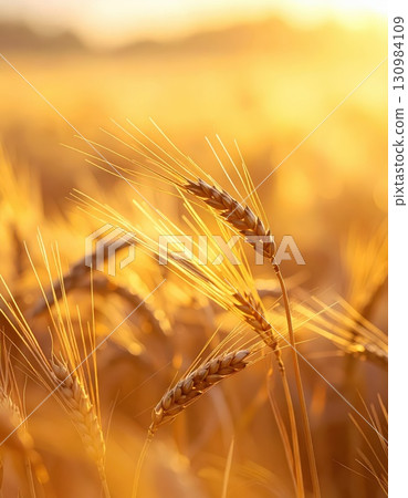 AI圖像:金色麥田 AI圖像:金色麥田 130984109