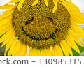 A close-up shot of a smiling sunflower 130985315