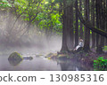 A girl in a white dress sitting on a stump in the forest with a stream flowing through it 130985316