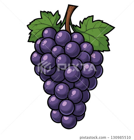 簡單的巨峰葡萄插圖 130985510