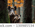 Wild boars hiding between trees in autumn forest 130985534