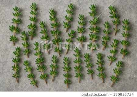 Thyme Herb (Thymus vulgaris), Top-View Photography of Fresh Sprigs for Herbal Medicine 130985724