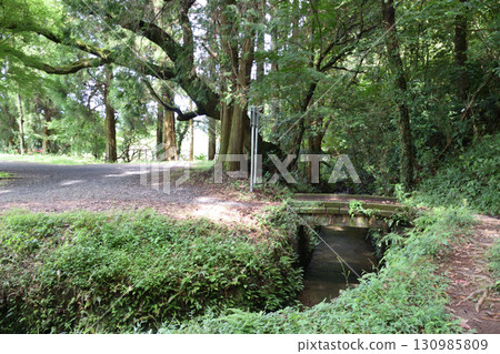 Satoyama scenery (Jinnoike Pond and Spring Pond) Satoyama scenery (Jinnoike Pond and Spring Pond) 130985809