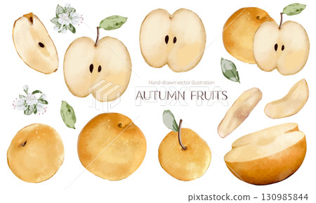 水彩梨素材集 130985844