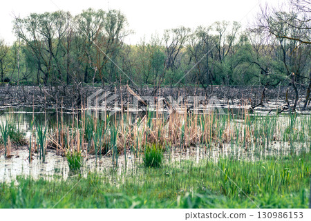 Polluted water body within the city 130986153