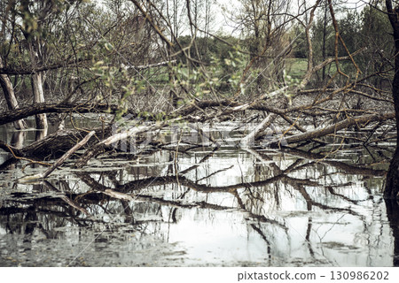 Polluted water body within the city 130986202