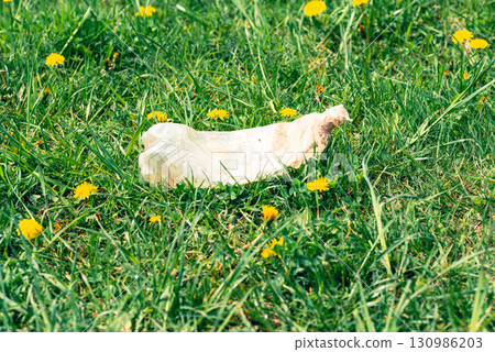 Used plastic bottle on grass in city park Used plastic bottle on grass in city park 130986203