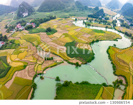 Aerial top view of Green rice field at northern vietnam,Beautiful destination in Northern Vietnam,Travel and landscape concept, Nature and rice fields background Aerial top view of Green rice field at northern vietnam,Beautiful destination in Northern Vietnam,Travel and landscape concept, Nature and rice fields background 130986554
