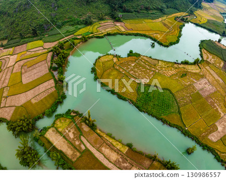 Aerial top view of Green rice field at northern vietnam,Beautiful destination in Northern Vietnam,Travel and landscape concept, Nature and rice fields background Aerial top view of Green rice field at northern vietnam,Beautiful destination in Northern Vietnam,Travel and landscape concept, Nature and rice fields background 130986557