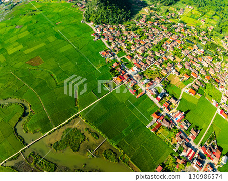 Aerial top view of Green rice field at northern vietnam,Beautiful destination in Northern Vietnam,Travel and landscape concept, Nature and rice fields background 130986574