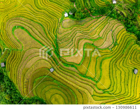 Aerial top view Rice fields on terrace northern Vietnam, Rice fields prepare the harvest at northwest vietnam,Wide angle view Aerial top view Rice fields on terrace northern Vietnam, Rice fields prepare the harvest at northwest vietnam,Wide angle view 130986611