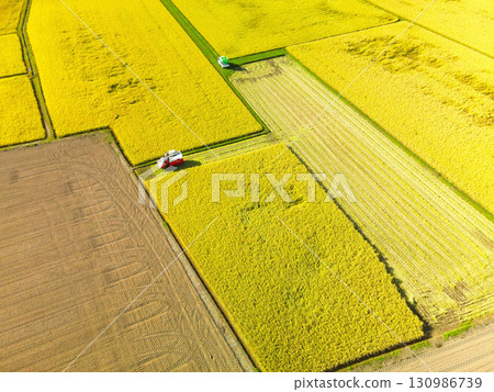 北海道阿佐部町秋季稻米收割的鳥瞰圖 130986739