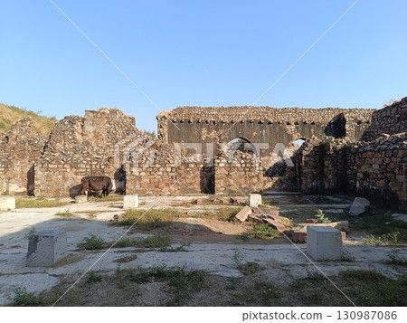 Delhi , India - Tughlakabad Fort Delhi , A picture of Tughlakabad Fort in Delhi dec 10 2024 Delhi , India - Tughlakabad Fort Delhi , A picture of Tughlakabad Fort in Delhi dec 10 2024 130987086