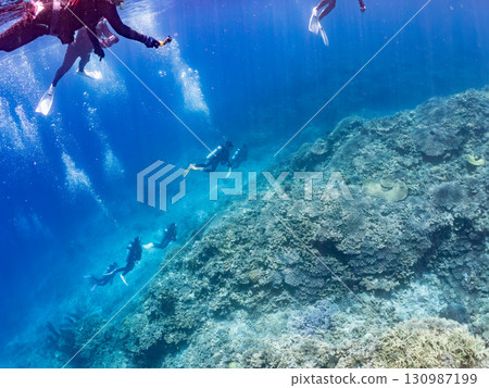 一隻綠海龜頭上長著一隻海蛞蝓。還有潛水員。美麗的珊瑚礁和成群的熱帶魚。沖繩縣島尻郡 一隻綠海龜頭上長著一隻海蛞蝓。還有潛水員。美麗的珊瑚礁和成群的熱帶魚。沖繩縣島尻郡 130987199