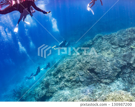 一隻綠海龜頭上長著一隻海蛞蝓。還有潛水員。美麗的珊瑚礁和成群的熱帶魚。沖繩縣島尻郡 一隻綠海龜頭上長著一隻海蛞蝓。還有潛水員。美麗的珊瑚礁和成群的熱帶魚。沖繩縣島尻郡 130987200