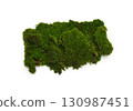 Green moss isolated on white background. Nature background. 130987451