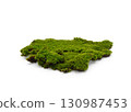 Green moss isolated on white background. Nature background. 130987453
