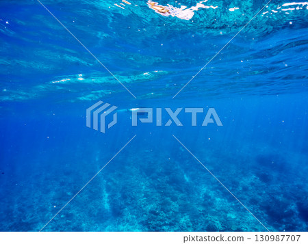 A huge Alfred Manta ray measuring over 4m. Beautiful coral reefs and schools of tropical fish. Kabi, Zamami Island, Kerama Islands, Shimajiri District, Okinawa Prefecture 130987707