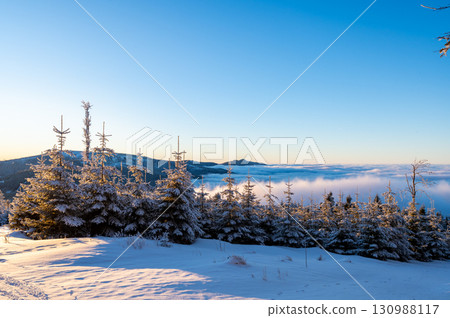 Panoramic view from Pancir mountain in Sumava national park with hills and forests rising above valleys filled with fog during sunset, creating a magical inversion landscape. 130988117