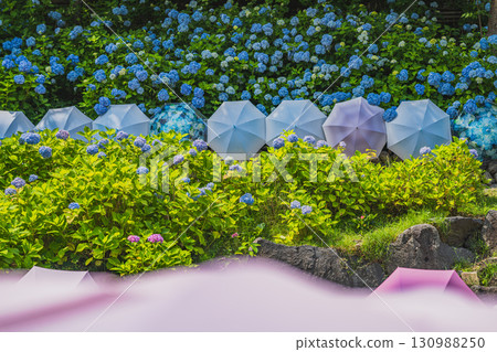 袋井市八多山尊永寺景觀（靜岡縣） 130988250