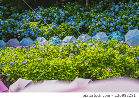 袋井市八多山尊永寺景觀（靜岡縣） 130988251