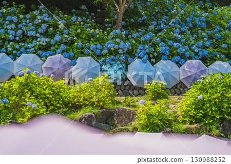 袋井市八多山尊永寺景觀（靜岡縣） 130988252