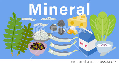 各種礦物質圖解（三大營養素和五大營養素） 130988317