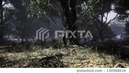 Sunlight filters through the lush foliage of trees, casting soft shadows on the forest floor. The vibrant greenery contrasts with the earthy tones of the ground and scattered vegetation. 130988616