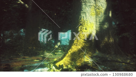 Sunlight filters through the trees, casting a warm glow on the moss covered trunk of a large tree. The surrounding forest is lush and vibrant, hinting at a serene atmosphere. 130988680
