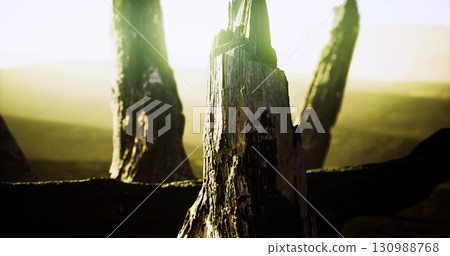 Sunlight filters through a tranquil landscape at dawn, highlighting the texture of a dried tree stump. The soft glow creates an ethereal atmosphere in the background. 130988768