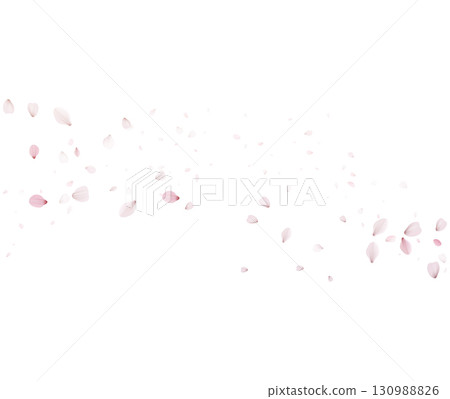 Cherry Blossom Petals Flowing Horizontally Vector Background 130988826