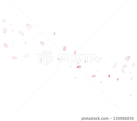 Diagonal Sakura Petals Vector With Soft Falling Pink Petals For Spring Mood Diagonal Sakura Petals Vector With Soft Falling Pink Petals For Spring Mood 130988850