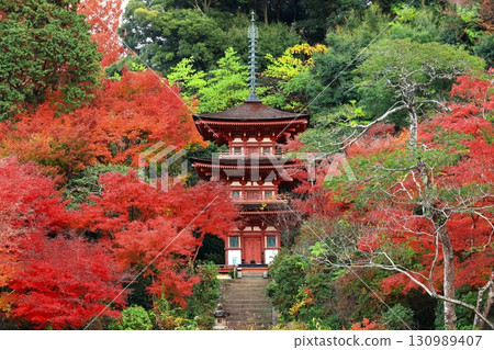 [京都府]晴朗的日子，淨琉璃寺庭園的三層寶塔與秋葉 130989407