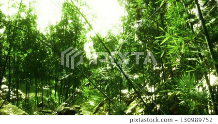 Sunlight filters through the dense foliage of a vibrant bamboo forest, creating a serene atmosphere. The lush greenery and tall bamboo stalks evoke a sense of tranquility and natures beauty. 130989752