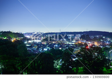 Cityscape seen from the hill 130989800